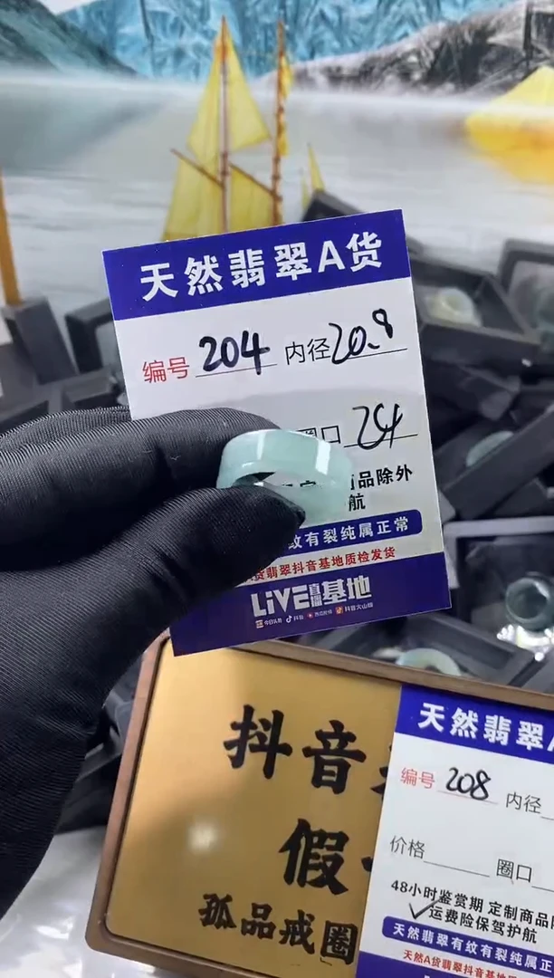 未镶嵌戒圈翡翠204