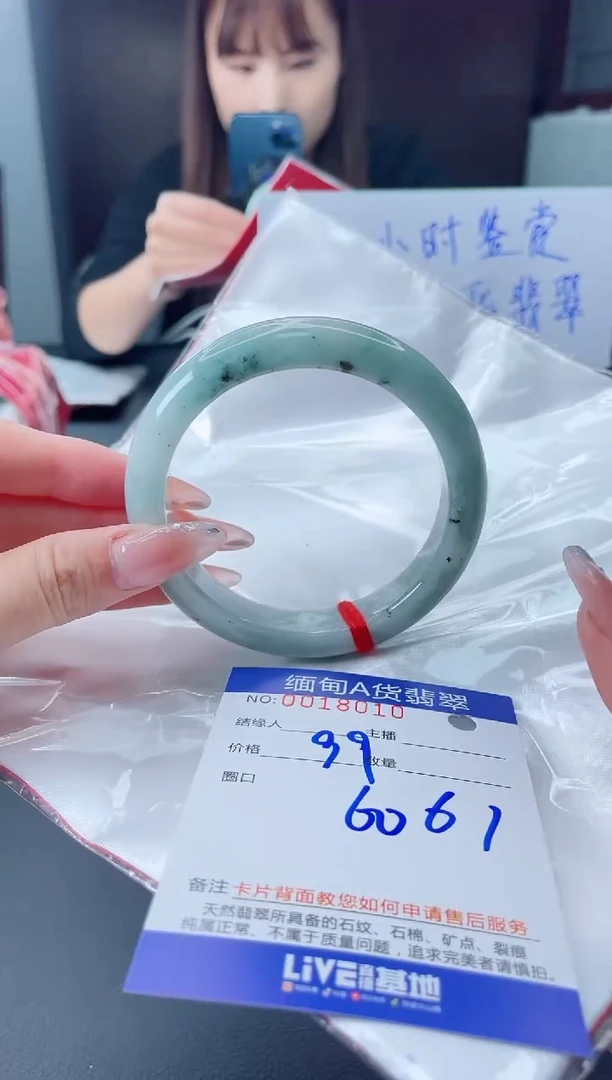 未镶嵌手镯翡翠44444444