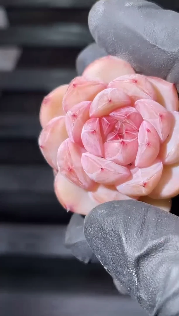 22-29 胶弹2-3厘米量拍发一颗