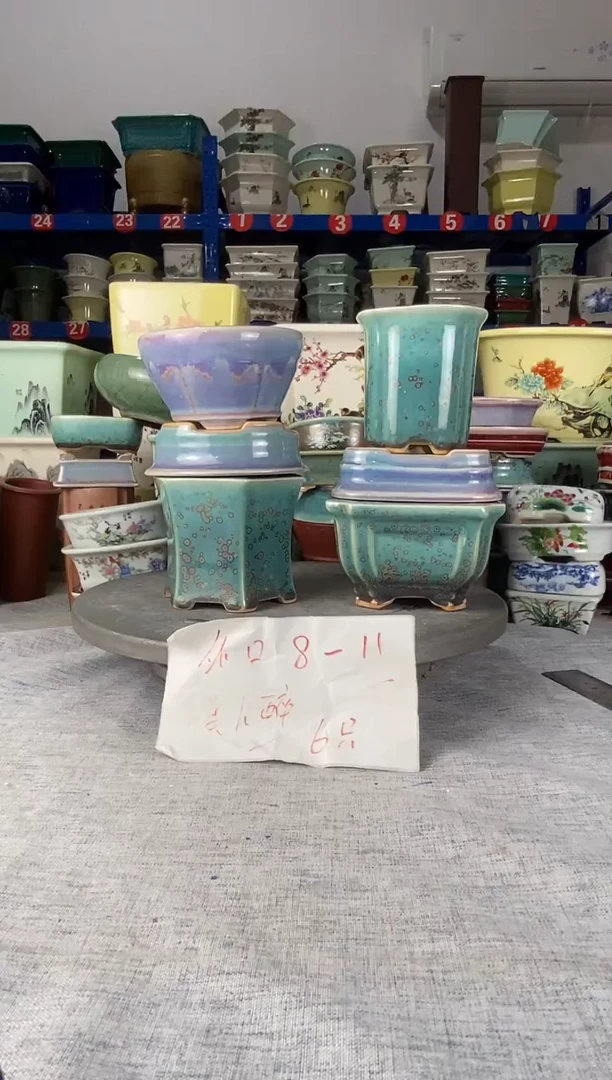 201913六只美人醉