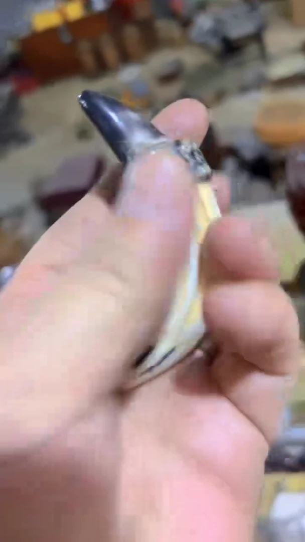 紫砂紫砂紫砂紫砂