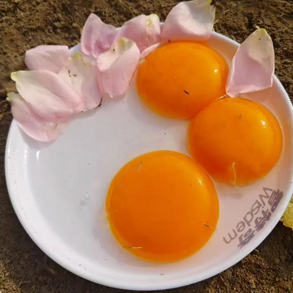 鹅蛋新鲜大个农家散养