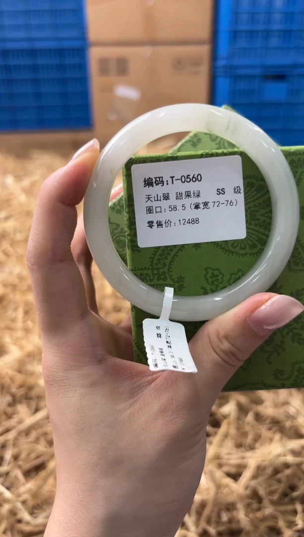 未镶嵌手镯石英质玉T-0560