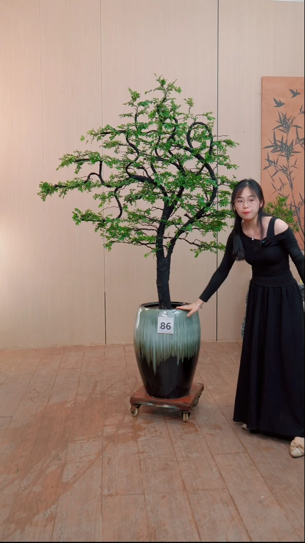 【闪购链接】86号链接