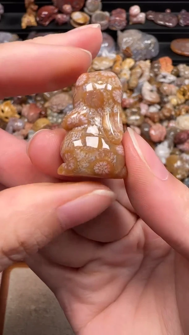硅化珊瑚（珊瑚玉）未镶嵌颈饰903