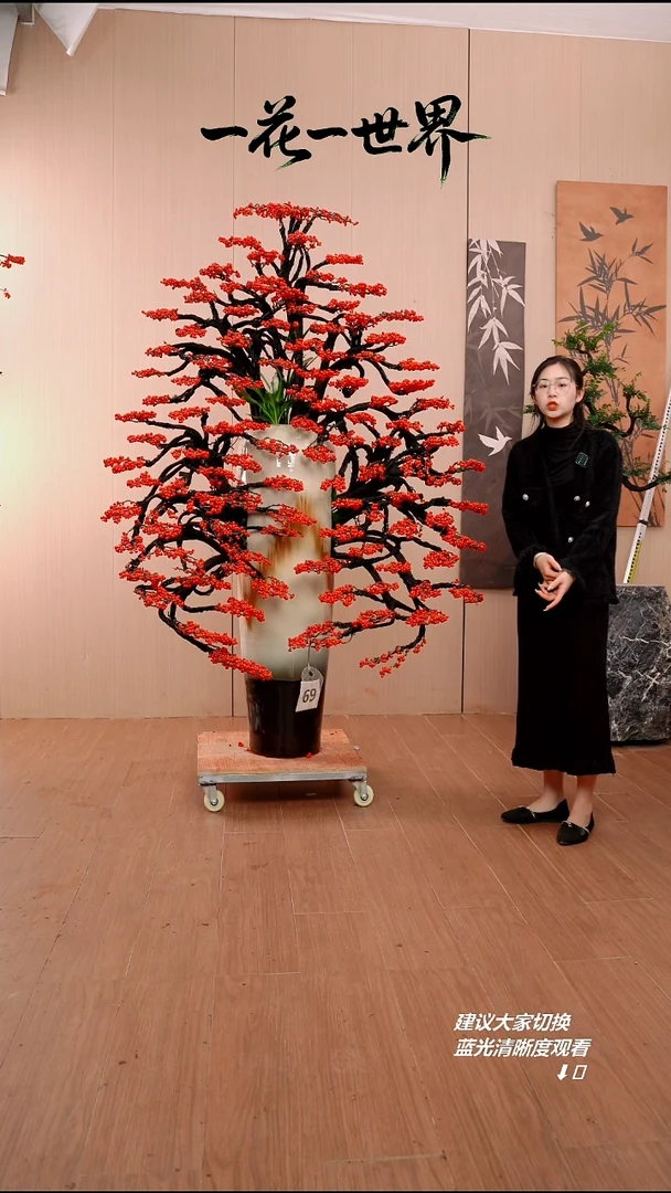 完全开放C*R69号链接