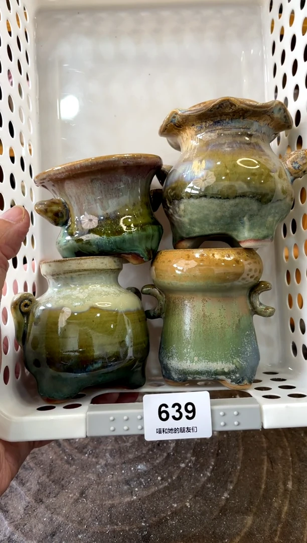 639【多肉花盆多肉盆】