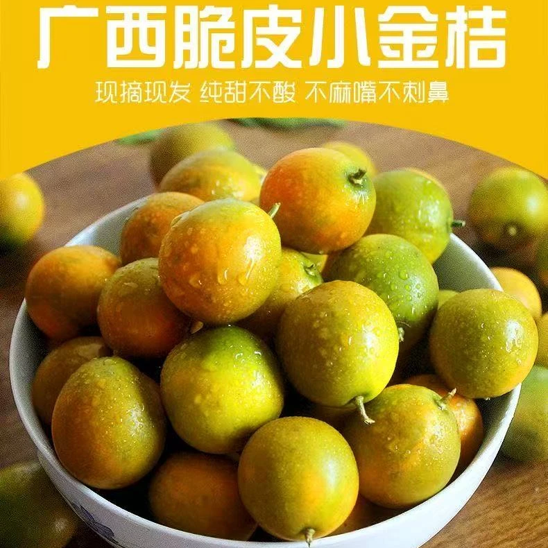 广西脆皮金桔不酸不涩不麻口现摘新鲜水果T
