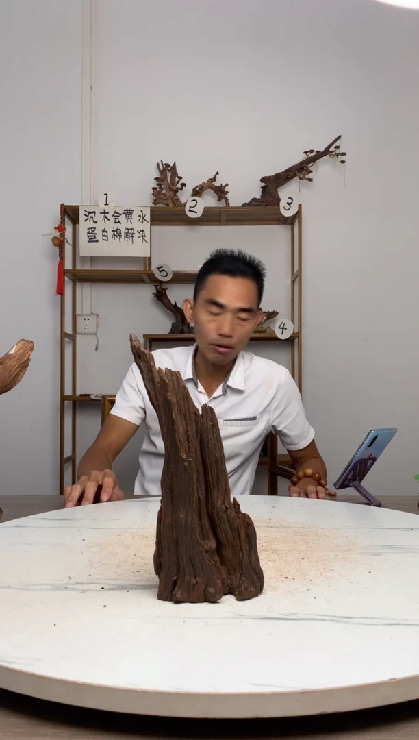 小***虫鱼缸造景沉木摆件