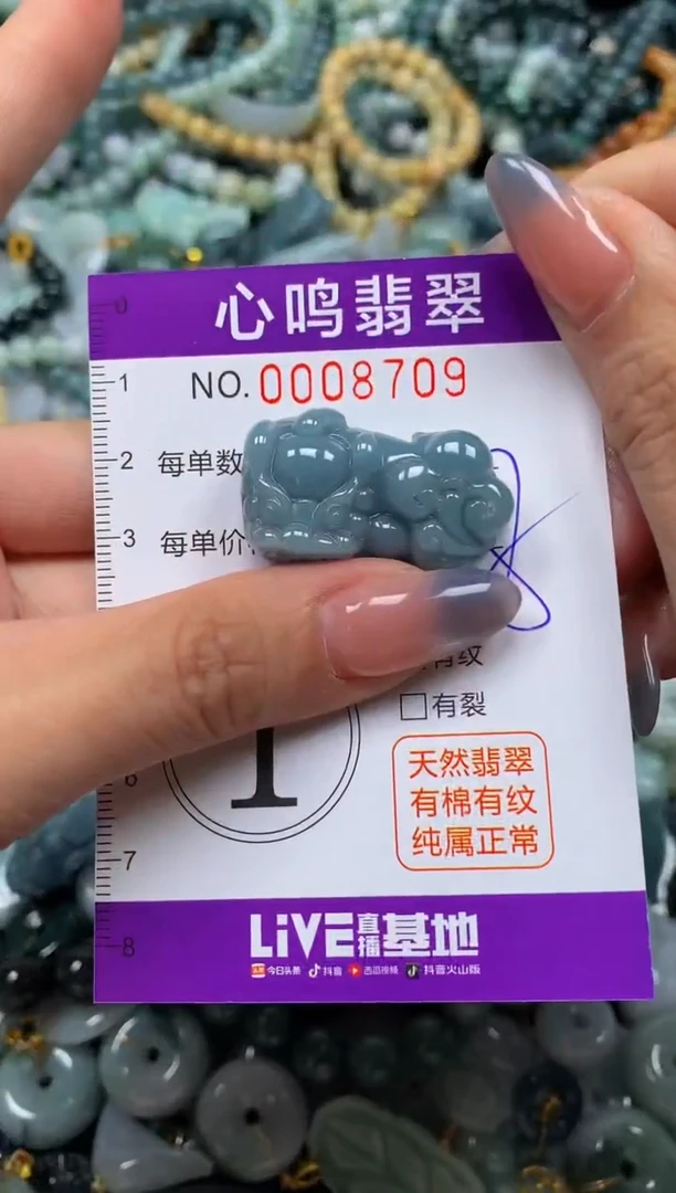 颈饰未镶嵌翡翠闪购008709