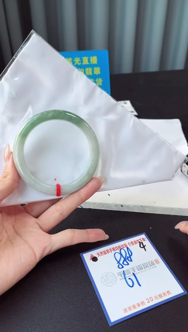 未镶嵌手镯翡翠1111