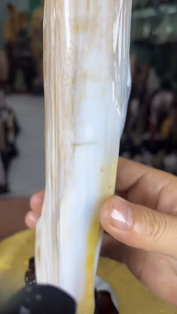 未镶嵌珠宝奇石硅化玉缅甸天然树化玉摆件