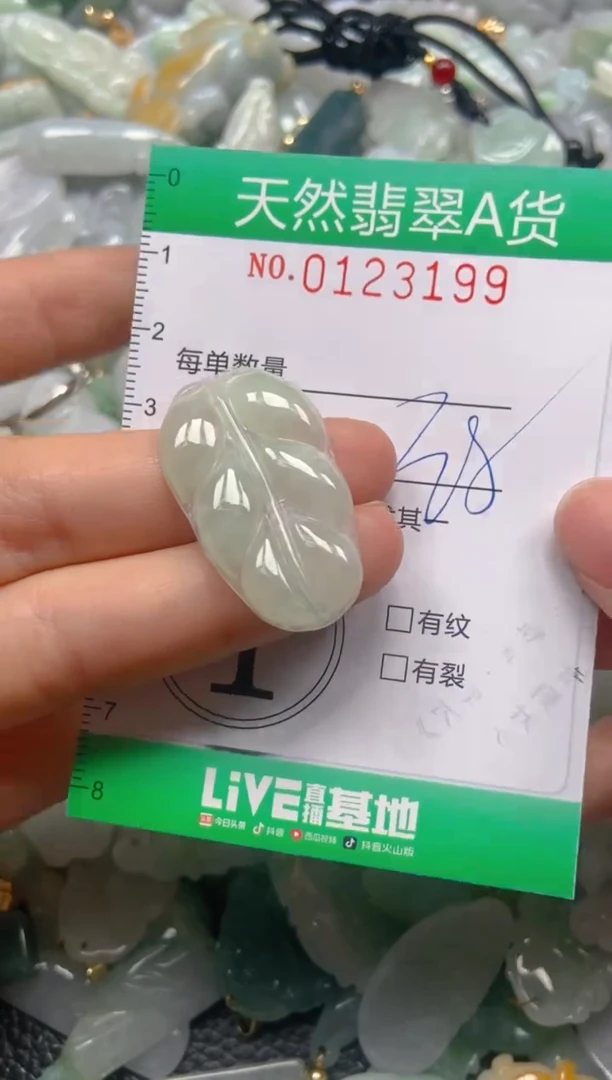 翡翠未镶嵌颈饰闪购0123199