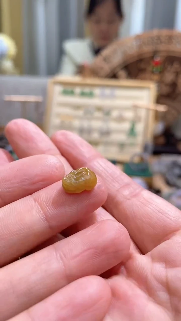 【闪购商品】翡翠颈饰未镶嵌貔貅