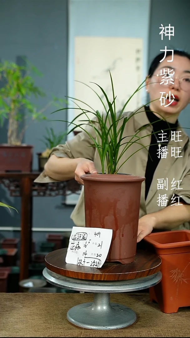 紫砂花盆409 紫砂花盆紫砂