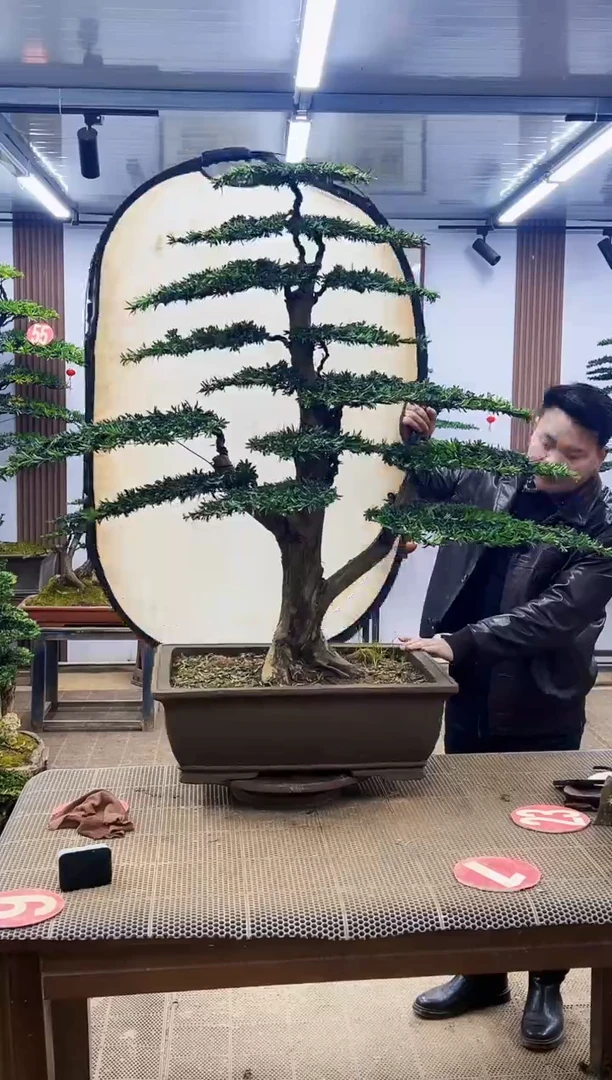 【闪购商品】00000000000