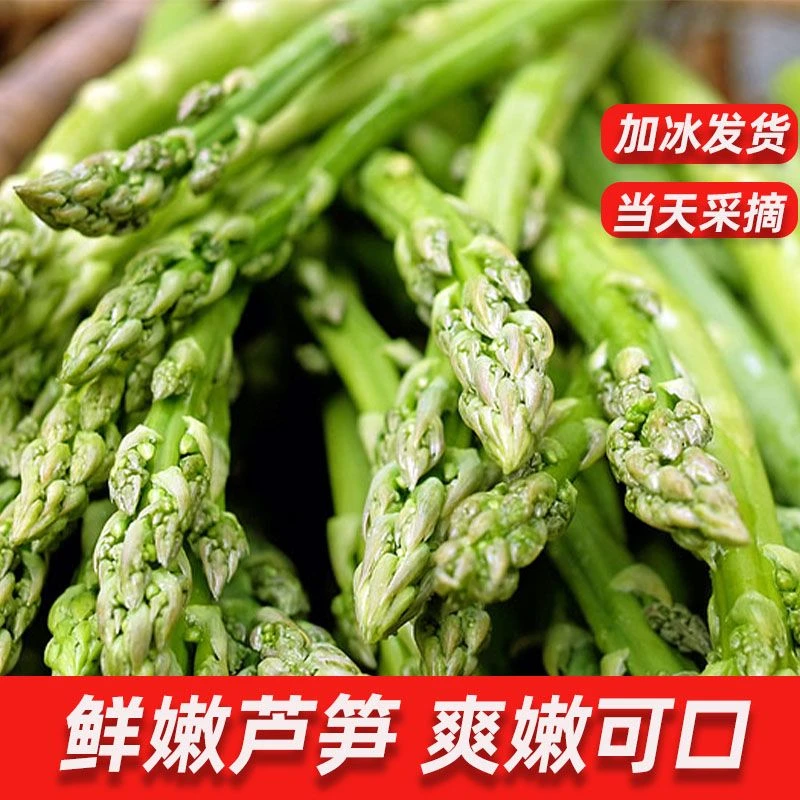 【现摘特级芦笋】时令蔬菜精挑细选头茬芦笋现采现发龙须菜