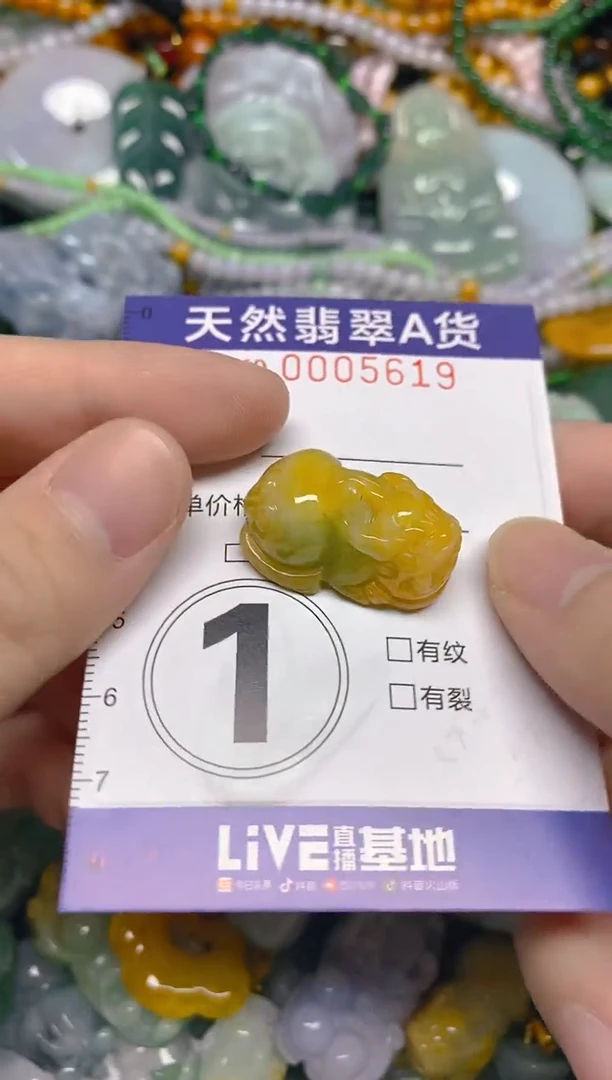 颈饰未镶嵌翡翠0005619