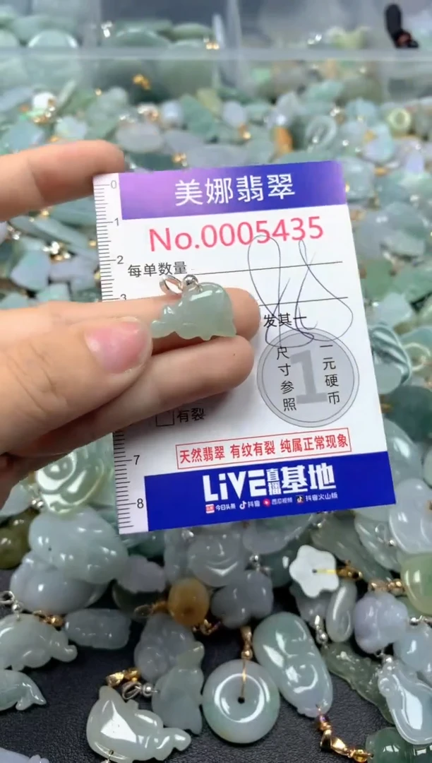 颈饰未镶嵌翡翠5435