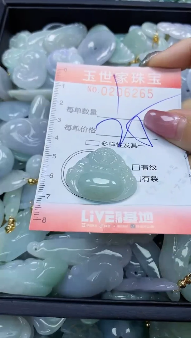 【闪购商品】翡翠颈饰未镶嵌闪购0206265