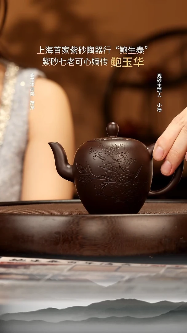 茶壶紫砂31 冰窖百目茄皮老紫泥美人肩260c 紫砂壶W