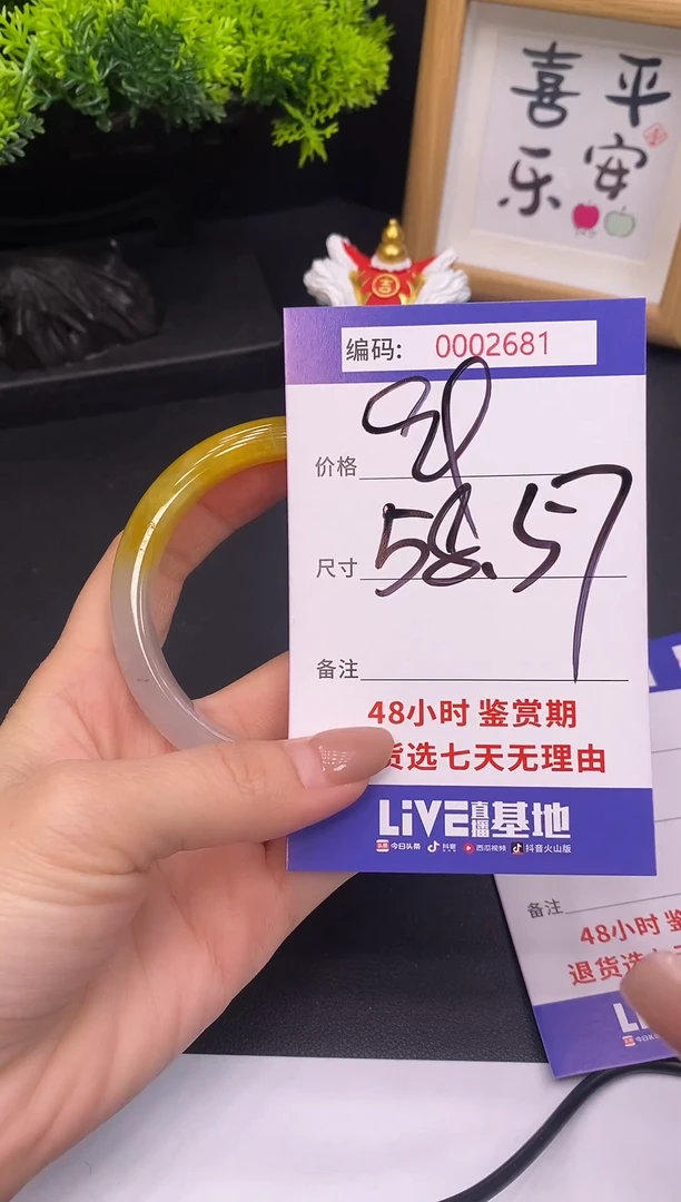 未镶嵌手镯翡翠0002681