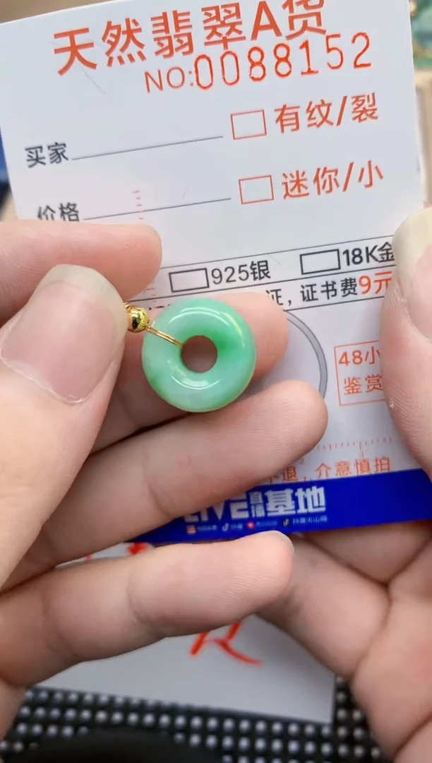 翡翠未镶嵌吊坠(不含链)1