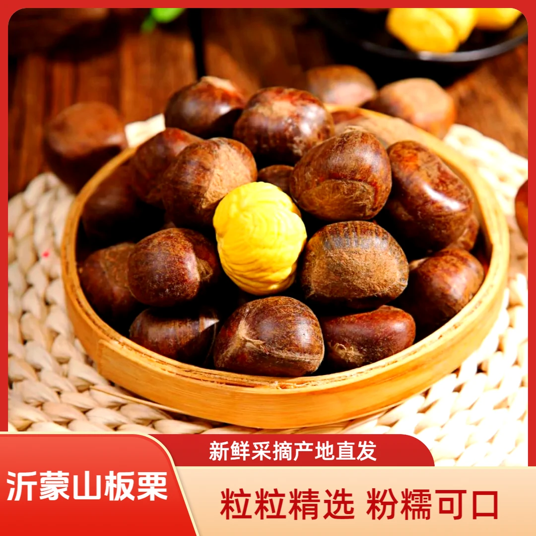 【沂蒙山特产】精选新鲜油板栗颗粒饱满粉糯香甜产地直发