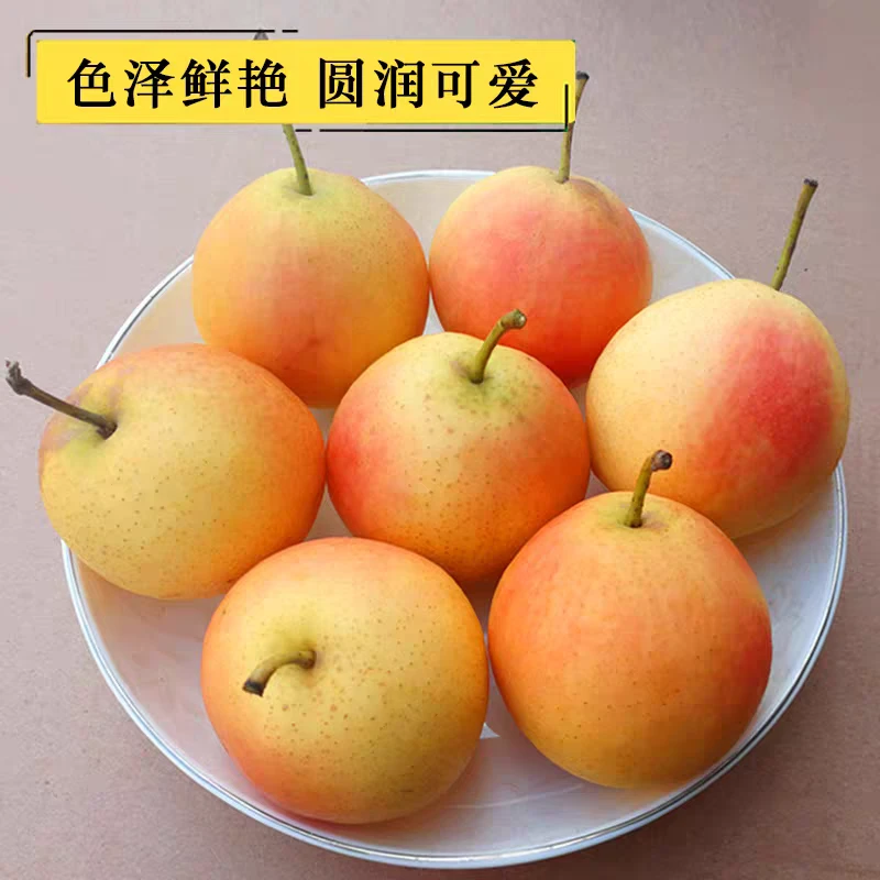 鞍山南果梨酒香梨阳面红果新鲜薄皮多汁酸甜口东北特产新鲜梨水果