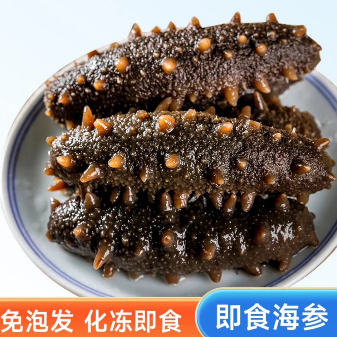【6-10头】即食辽参天然海参6-10头/斤顺丰冷链包邮口感Q弹深海辽参
