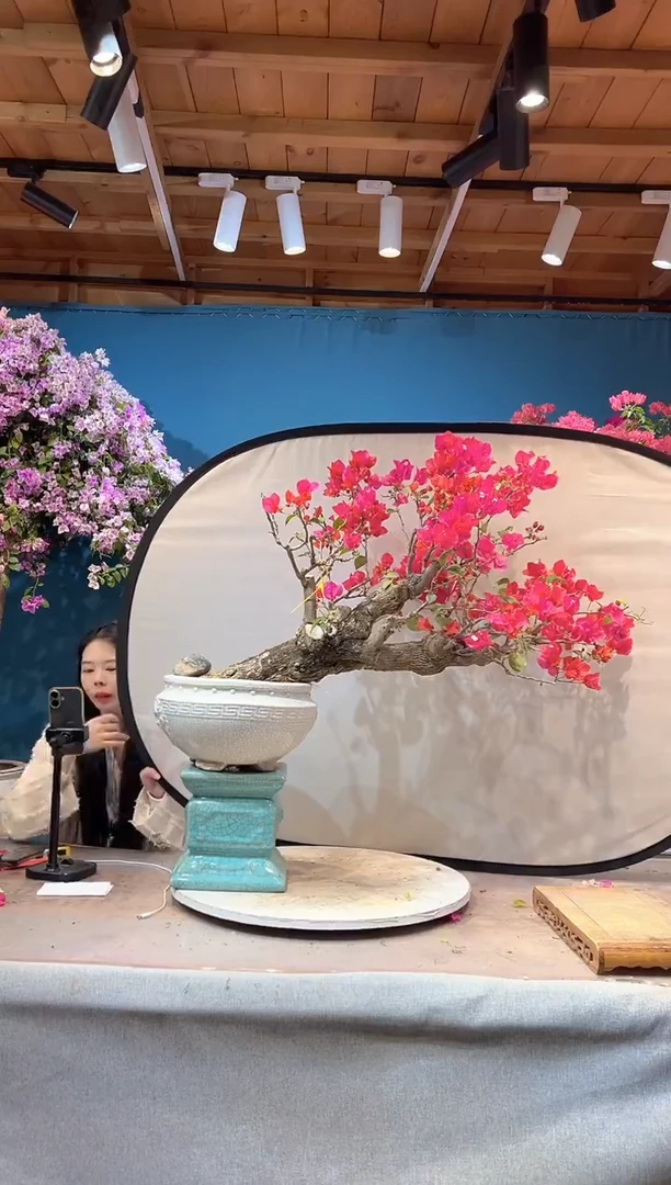 少量花朵（建议范围：2朵-5朵 或40%以下）同安红