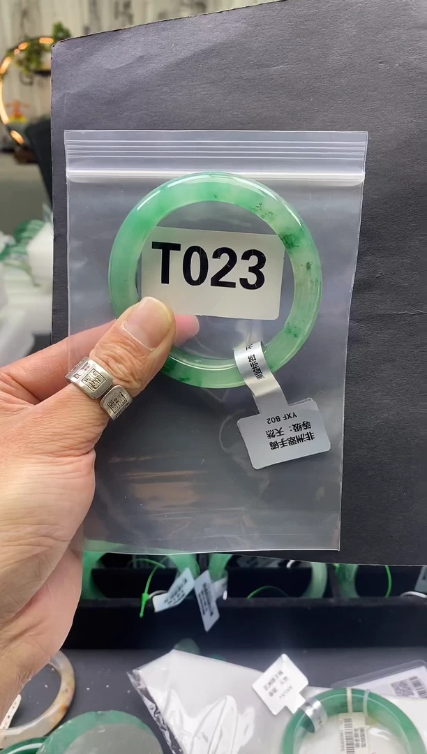 未镶嵌手镯石英质玉（非洲翠）55圈口T023