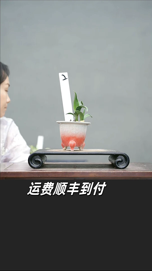 ?***怹2