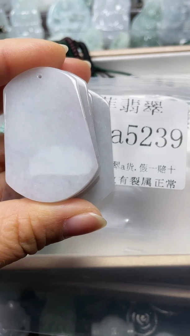 【闪购商品】翡翠颈饰未镶嵌闪购5239