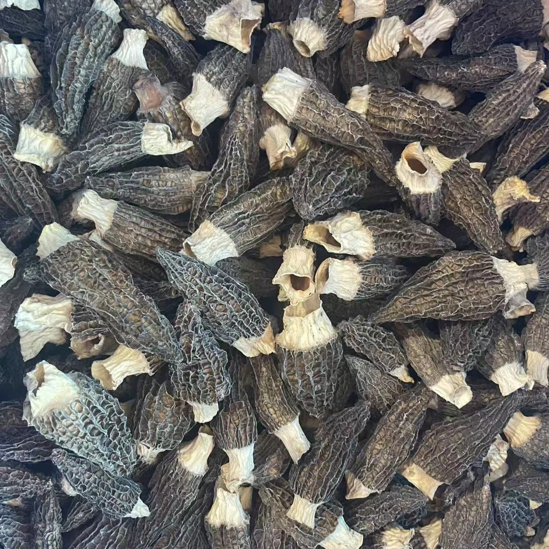 羊肚菌干货6-8公分菌菇羊肚菇煲汤