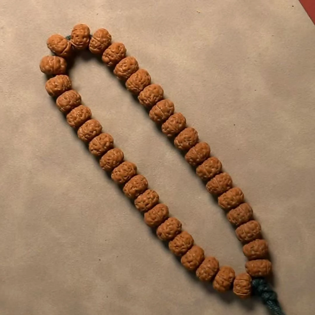 【 明台 】精品-【原装】老树王圆梦真矮小金刚【单圈】