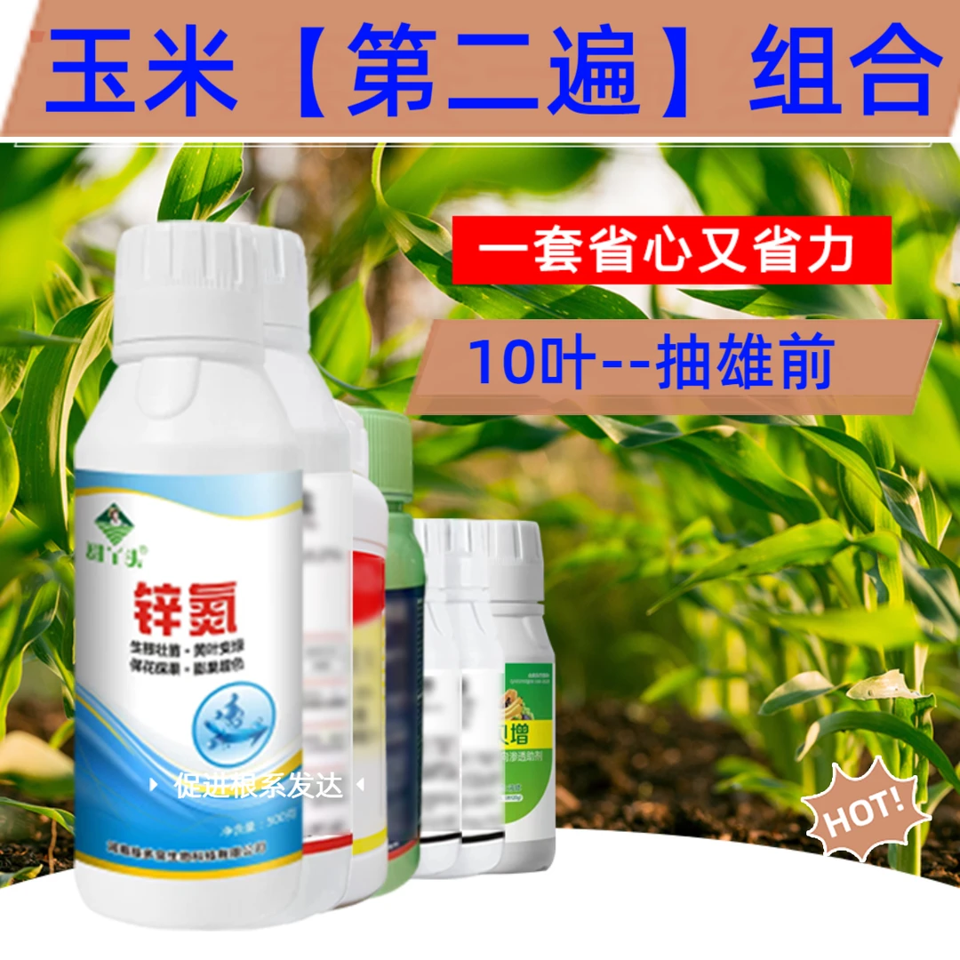 【小语专属】第二遍玉米大喇叭口组合高产组合控升级叶面喷施