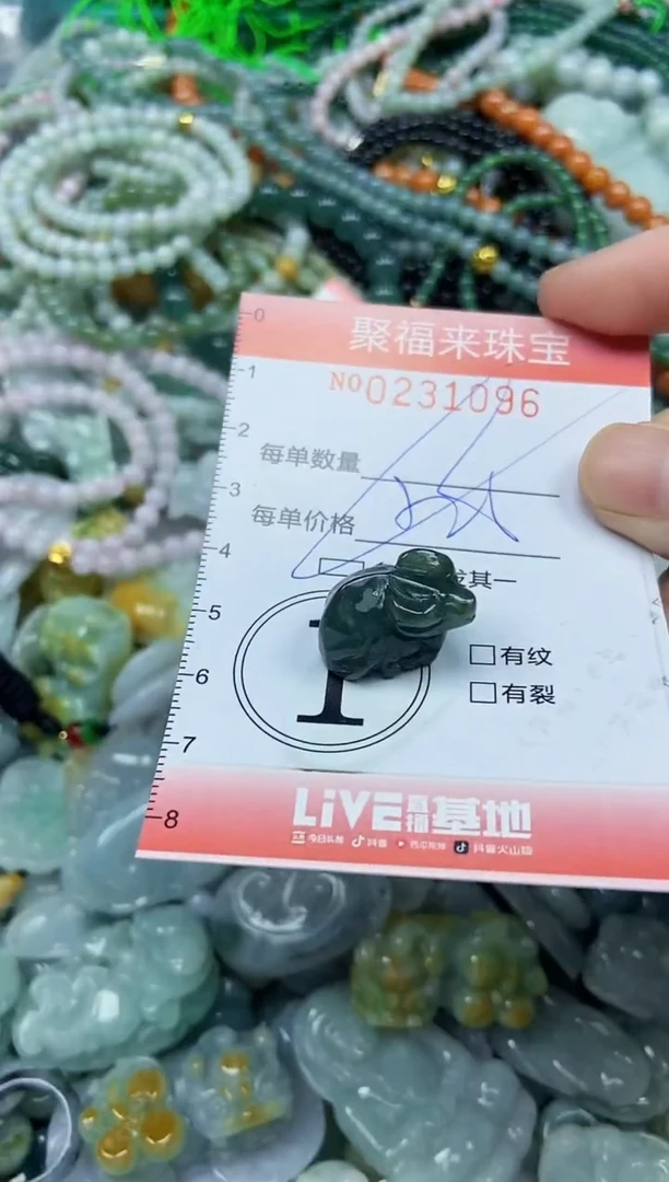 颈饰未镶嵌翡翠闪购0231096