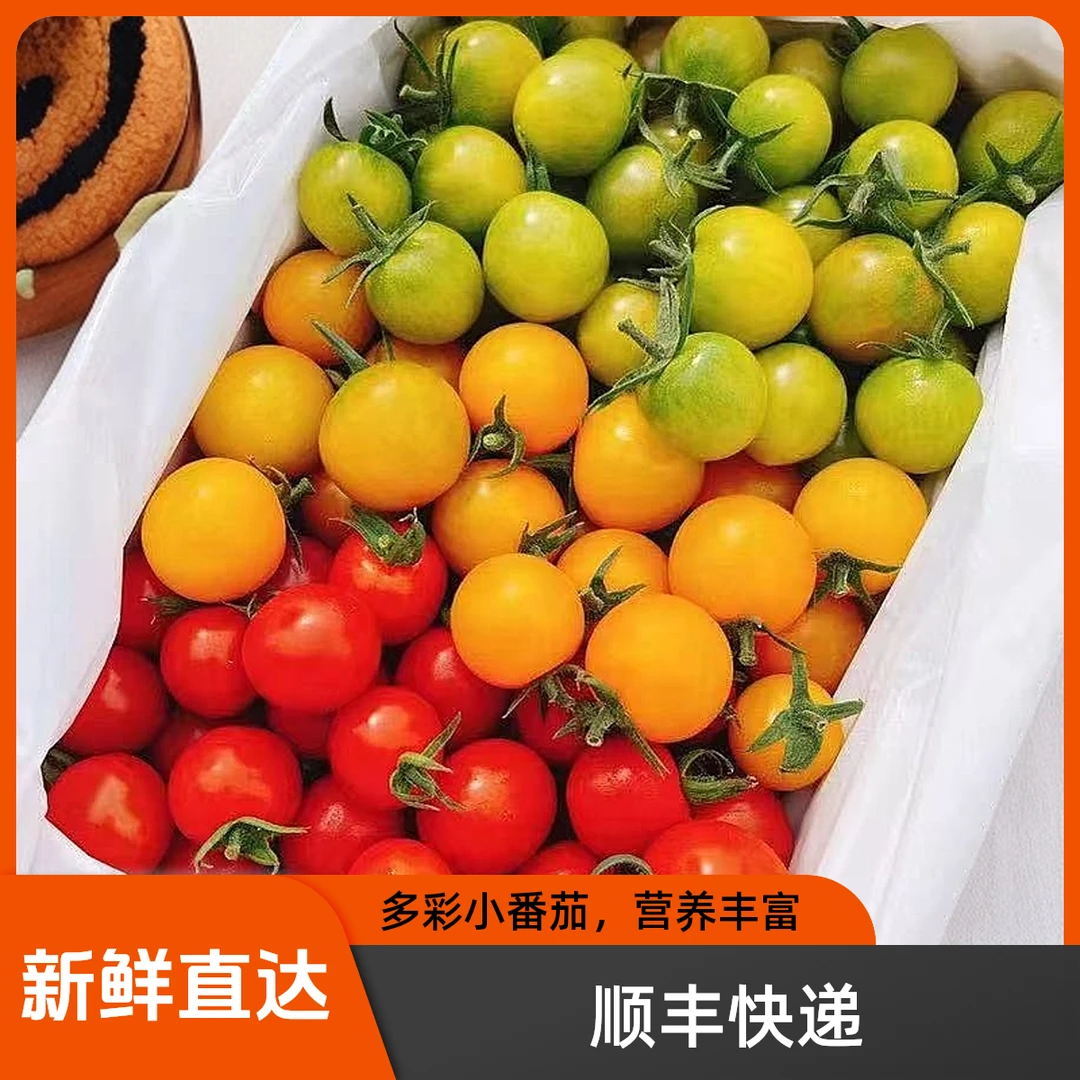 【顺丰包邮】三色爆汁小番茄圣女果酸甜爆汁好吃产地直发新鲜采摘