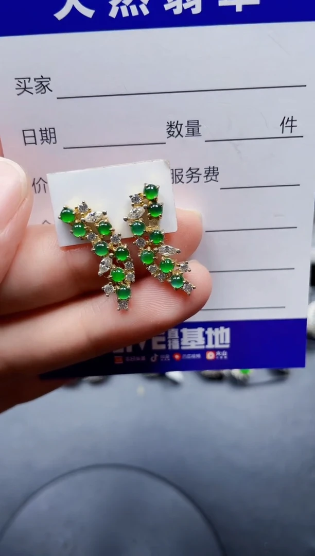 银S925镶嵌翡翠耳饰240