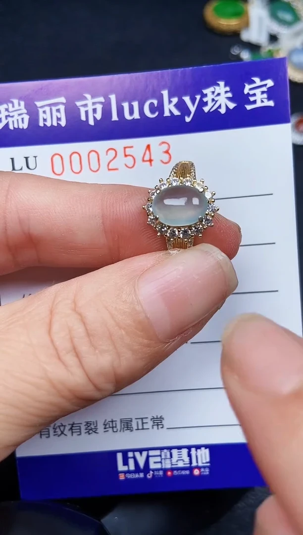 翡翠银S925镶嵌颈饰2543