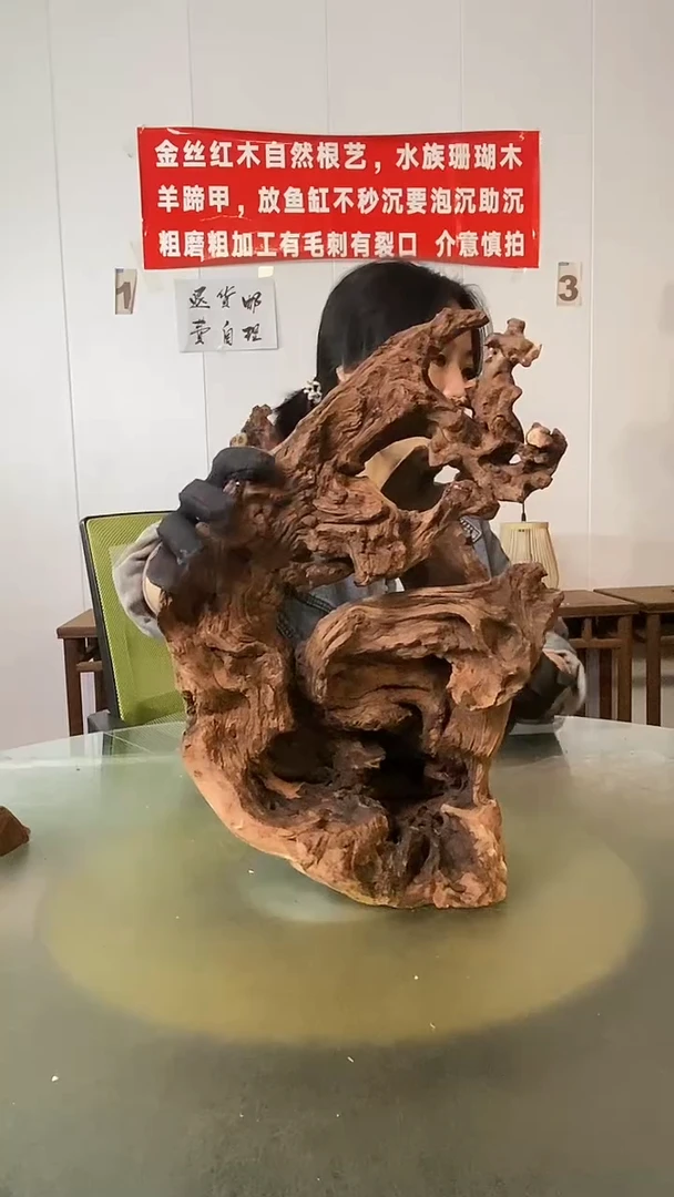 木東*叟金丝红木 羊蹄甲