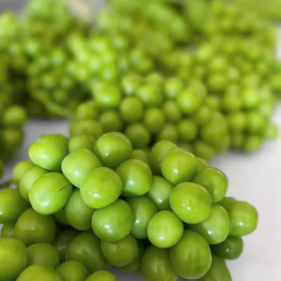 【达吾水果】精品阳光玫瑰1框3串装(同城骑手配送到家)云南省