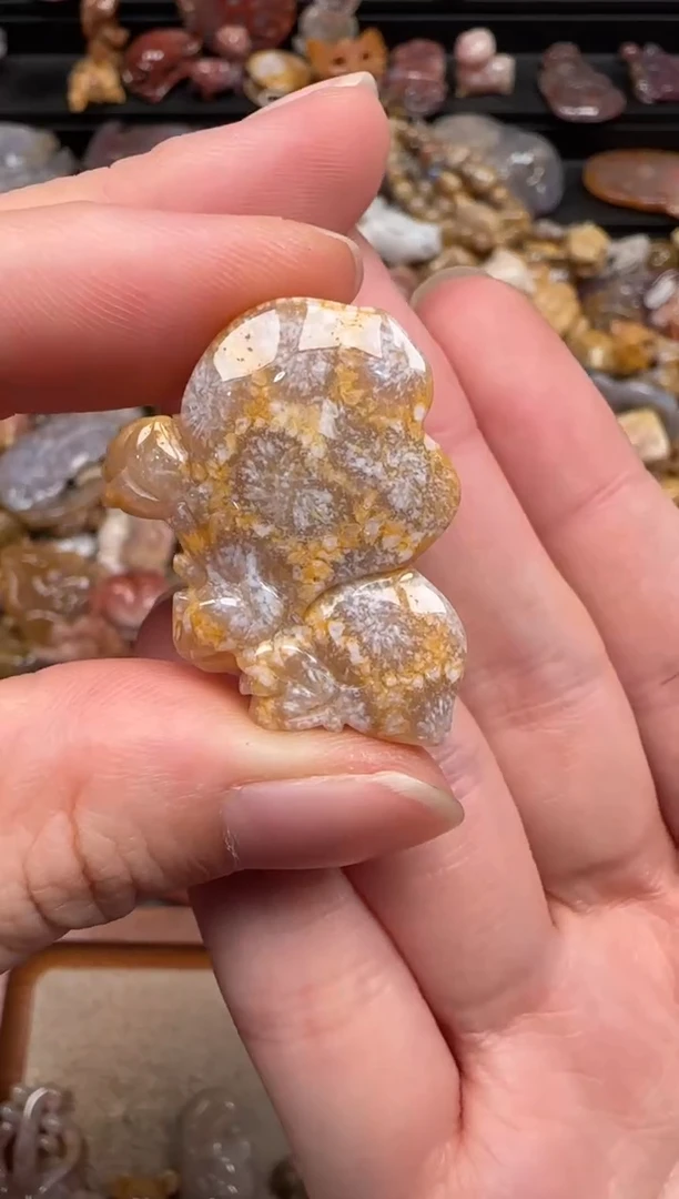 硅化珊瑚（珊瑚玉）未镶嵌颈饰511