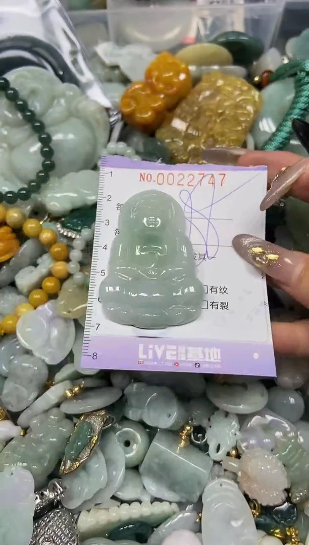 【闪购商品】翡翠颈饰未镶嵌闪购0022747