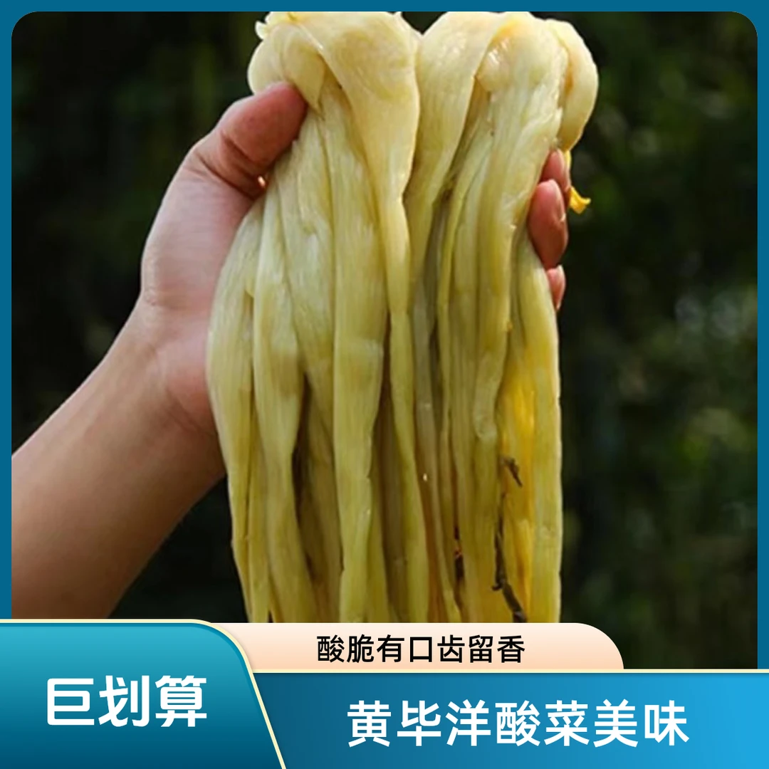 黄毕洋酸菜酸脆爽口开胃下饭好选择