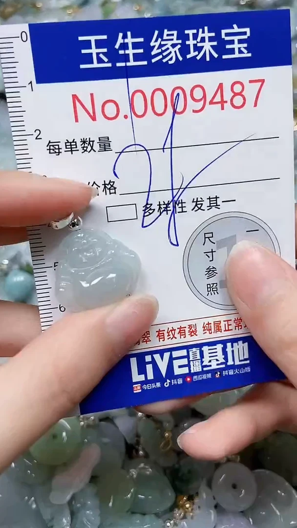 【闪购商品】翡翠颈饰未镶嵌闪购00009487