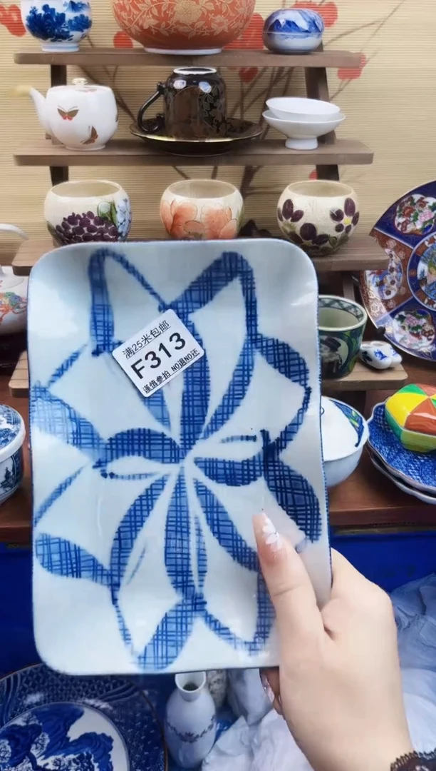 【闪购商品】F313==============