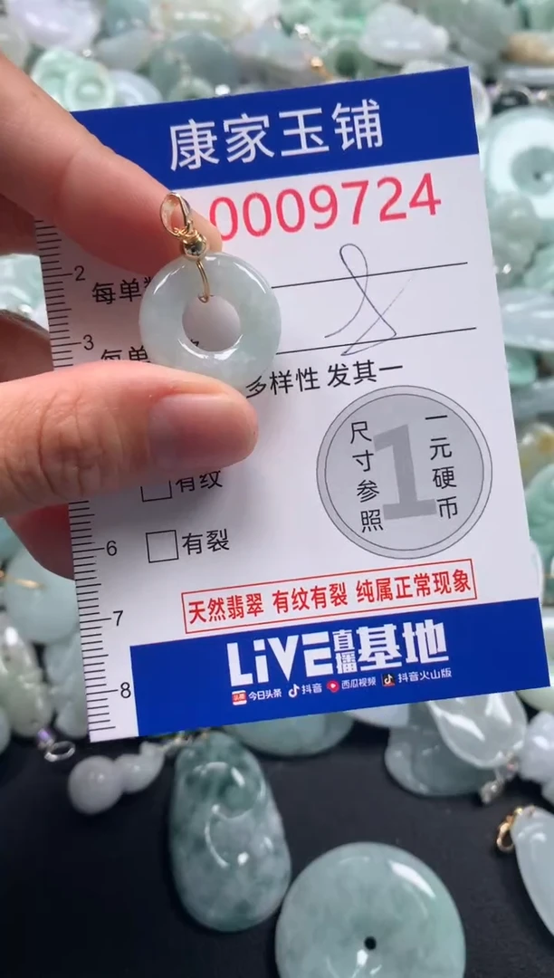 颈饰未镶嵌翡翠9724