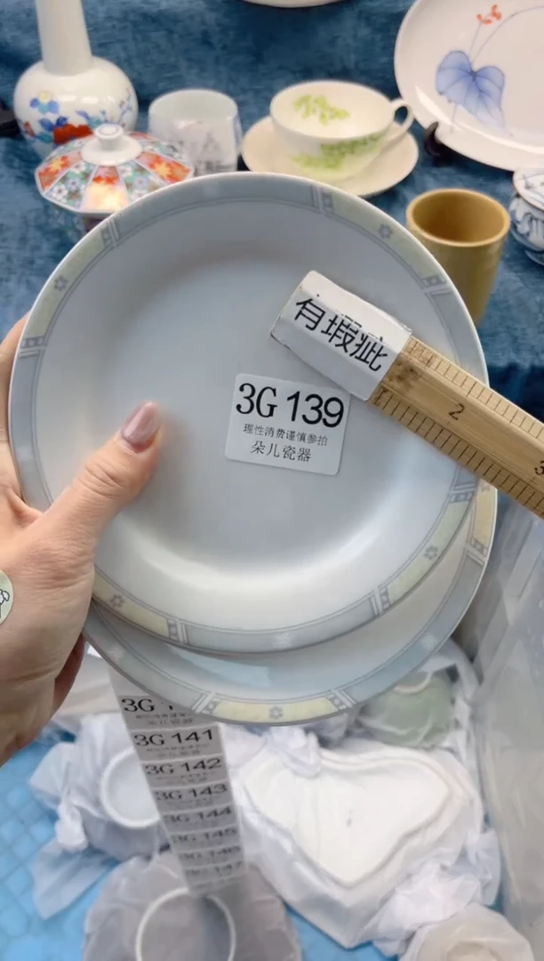 瓷片         3G139